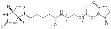 Biotin-PEG-NHS