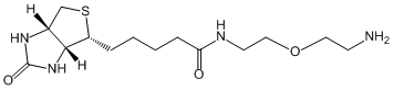 Biotin-PEG1-NH2
