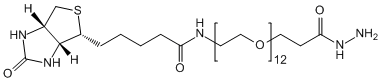 Biotin-PEG12-HZ