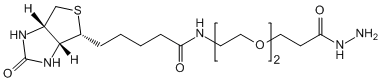 Biotin-PEG2-HZ