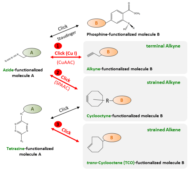 click chemistry reactions