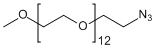 mPEG13-N3