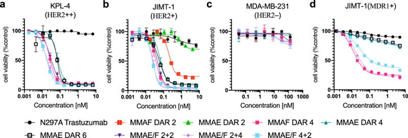 Cell Killing Toxicity of Dual-Payload ADC