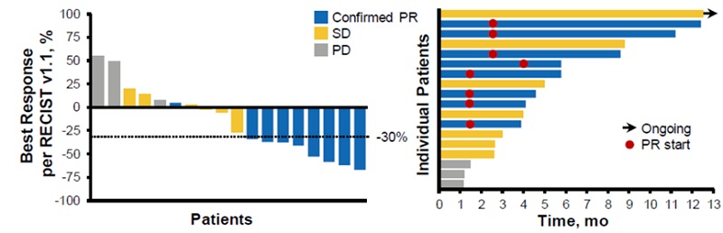 Phase II results of T-DM1 lung cancer