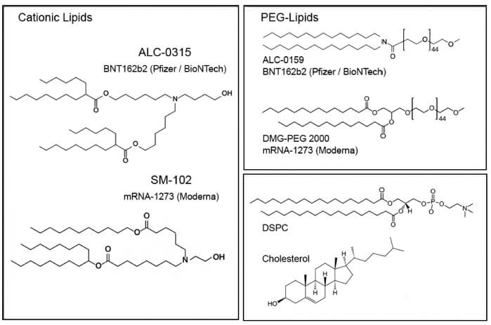 main excipients of mRNA COVID-19 vaccine