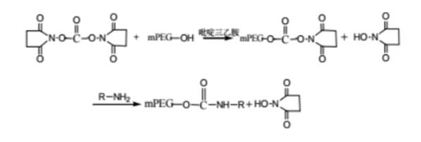 N, N-succinimide carbonate activated PEG