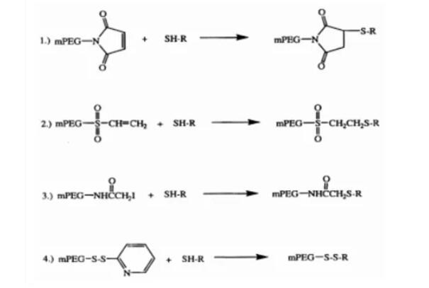 PEG activation method for specific modification of thiol