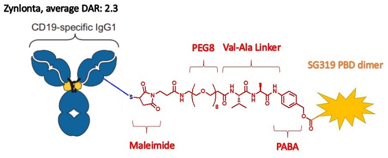 PEG-linker-for -Zynlonta