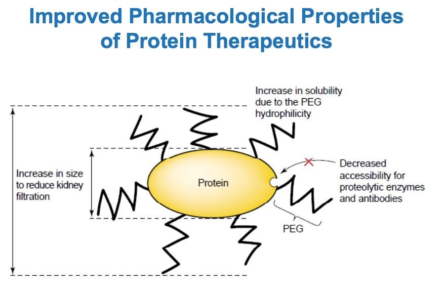 PEGylation advantage