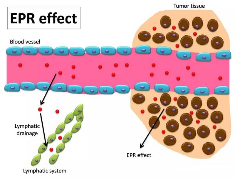 Schematic diagram of EPR effect