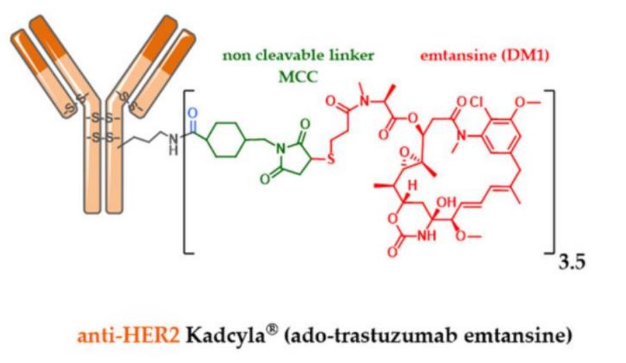 Kadcyla Structure